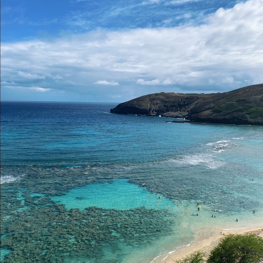 Meet your Posher, lizzy